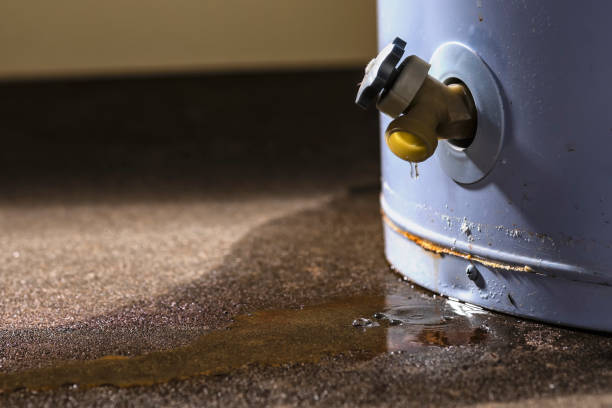 Best Flooded house restoration  in Meadowbrook, AL