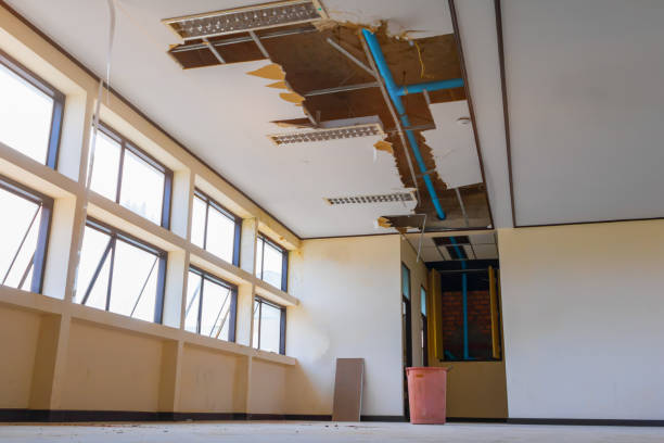 Best Fire Damage Restoration  in Meadowbrook, AL