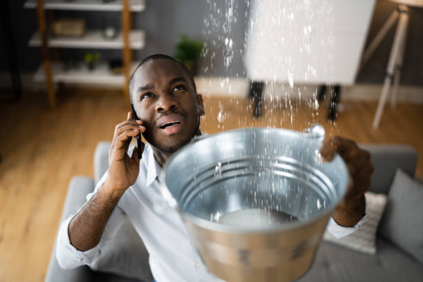 Best Water damage contractors near me  in Meadowbrook, AL