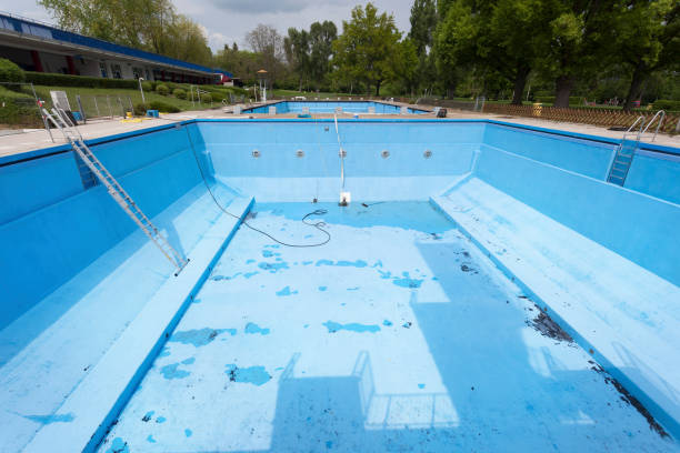 Best Local water damage restoration  in Meadowbrook, AL