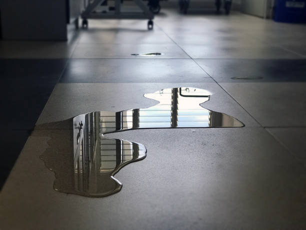 Best Professional water damage repair  in Meadowbrook, AL