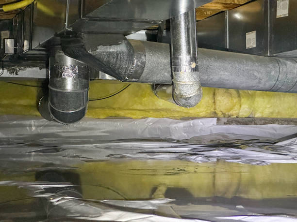  Meadowbrook, AL Water damage restoration Pros