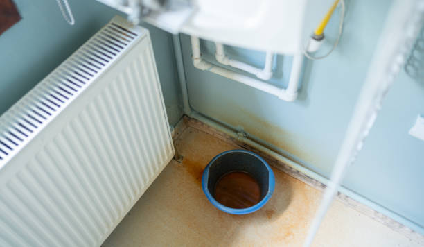 Best Flood damage cleanup  in Meadowbrook, AL