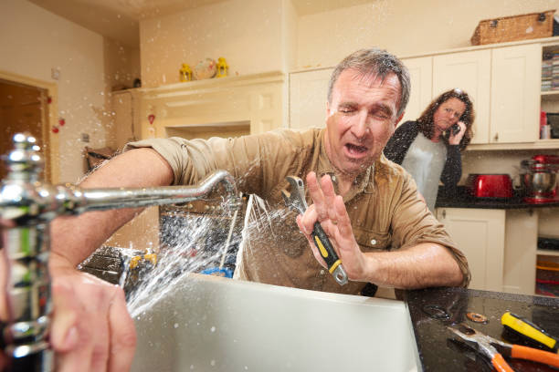 Best Water damage restoration near me  in Meadowbrook, AL